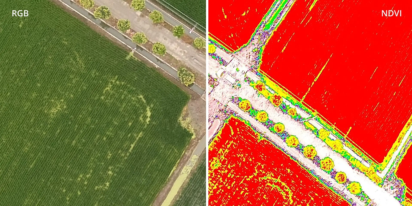 Визуализация NDVI